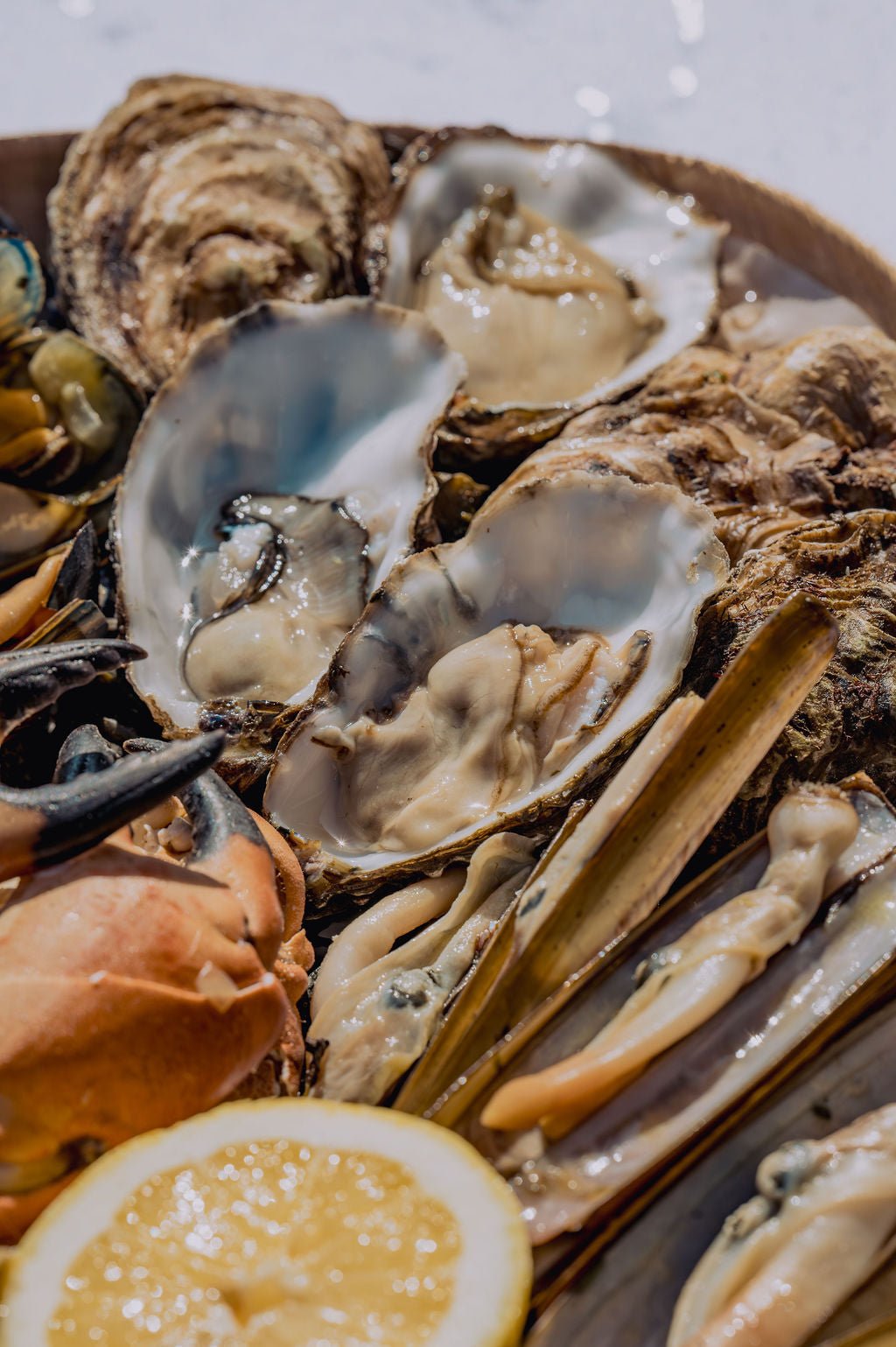 Plateau fruits de mer de luxe - VIZmarkt